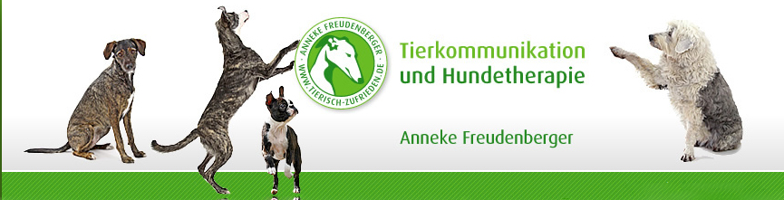 banner_freudenberger.jpg